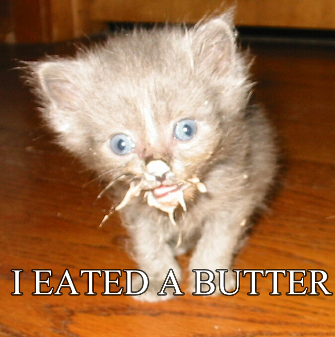 Cats Butter