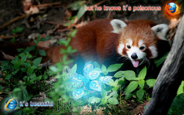 IE vs Firefox