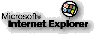 Internet Explorer 2 Logo