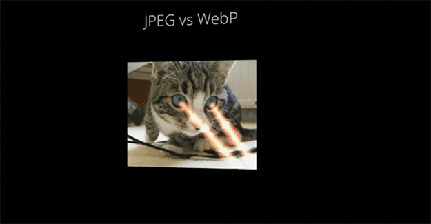 JPEG Vs. Google’s WebP